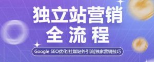 独立站营销全流程，Google SEO优化，社媒站外引流，独家营销技巧-氚客吧