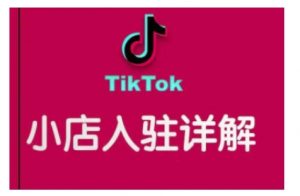 TikTok跨境小店运营全攻略，帮助你独立运营TK跨境小店的能力，实现销量增长-氚客吧