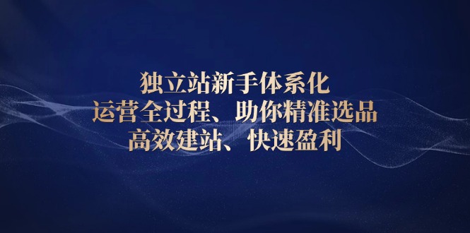 独立站新手体系化 运营全过程，助你精准选品、高效建站、快速盈利-氚客吧