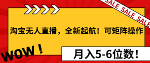 淘宝无人直播，全新起航！可矩阵操作，月入5-6位数！-氚客吧