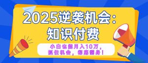 2025逆袭项目——知识付费，小白也能月入10万年入百万，抓住机会彻底翻...-氚客吧
