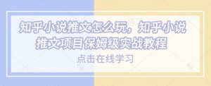 知乎小说推文怎么玩，知乎小说推文项目保姆级实战教程-氚客吧