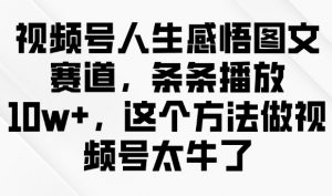 视频号人生感悟图文赛道，条条播放10w+，这个方法做视频号太牛了-氚客吧