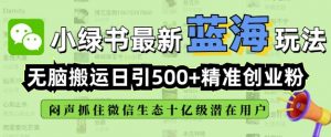 小绿书无脑搬运引流，全自动日引500精准创业粉，微信生态内又一个闷声发财的机会-氚客吧