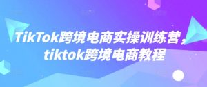 TikTok跨境电商实操训练营，tiktok跨境电商教程-氚客吧