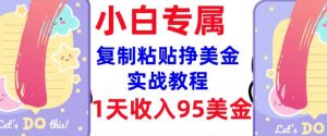 复制粘贴挣美金，0门槛，1天收入95美刀，3分钟学会，内部教程(首次公开)-氚客吧