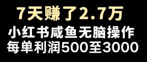 最赚钱项目之一，2025爆火，逆风翻盘！-氚客吧