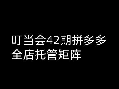 叮当会拼多多打爆班原创高阶技术第42期，拼多多全店托管矩阵-氚客吧