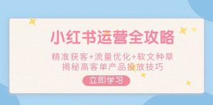 小红书运营全攻略，精准获客+流量优化+软文种草，揭秘高客单产品投放技巧-氚客吧