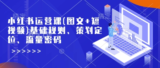 小红书运营课(图文+短视频)基础规则、策划定位、流量密码-氚客吧