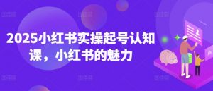 2025小红书实操起号认知课，小红书的魅力-氚客吧