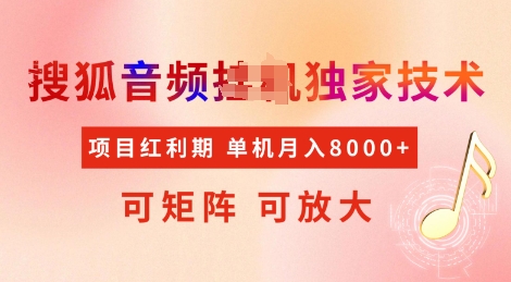 全网首发搜狐音频挂JI独家技术，项目红利期，可矩阵可放大，稳定月入8k【揭秘】-氚客吧