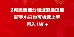 2月最新细分领域落地项目，新手小白也可快速上手，月入1W-氚客吧