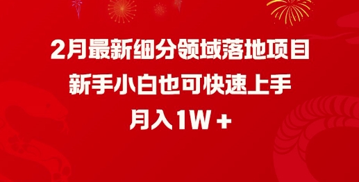 2月最新细分领域落地项目，新手小白也可快速上手，月入1W-氚客吧
