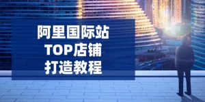 阿里国际站TOP店铺打造教程：涵盖平台到高阶，解决运营难题，提升询盘-氚客吧
