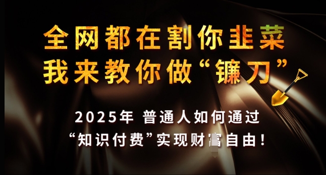 全网都在割你韭菜，我来教你做镰刀，2025年普通人如何通过 知识付费 实现财F自由【揭秘】-氚客吧