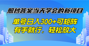 照抄答案当天学会的新项目，单号日入300 +可矩阵，有手就行，轻松放大-氚客吧