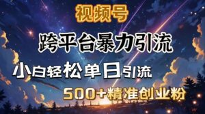 跨平台暴力引流，私域完美闭环，日引500+精准创业粉-氚客吧