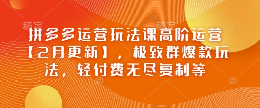 拼多多运营玩法课高阶运营【2月更新】，极致群爆款玩法，轻付费无尽复制等-氚客吧