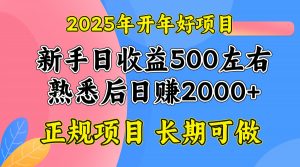 2025开年好项目，单号日收益2000左右-氚客吧