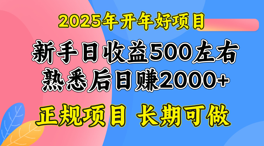 2025开年好项目，单号日收益2000左右-氚客吧