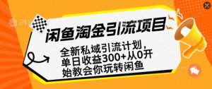 闲鱼淘金私域引流计划，从0开始玩转闲鱼，副业也可以挣到全职的工资-氚客吧