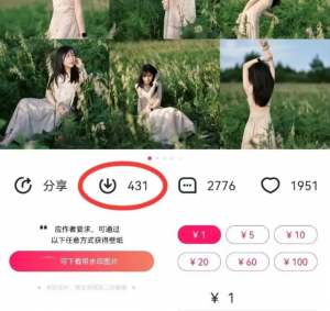 最新图虫搬运项目，收益无上限，利用AI小白也可日赚500+-氚客吧
