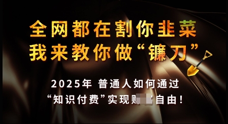 知识付费如何做到月入过W+，2025我来教你做“镰刀”【揭秘】-氚客吧
