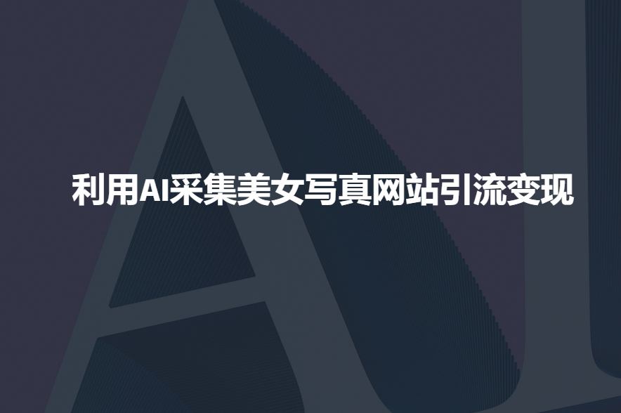 利用AI采集美女写真网站引流变现，引流嘎嘎的-氚客吧