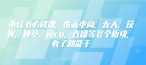 小红书必修课，覆盖电商，无人，获客，种草，mcn，直播等多个板块，看了就能干-氚客吧