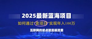 2025最新蓝海项目，零门槛轻松复制，月入10万+，新手也能操作！-氚客吧
