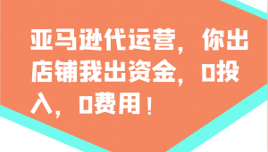 亚马逊代运营，你出店铺我出资金，0投入，0费用，无责任每天300分红，赢亏我承担-氚客吧