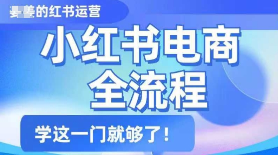 小红书电商全流程，精简易懂，从入门到精通，学这一门就够了-氚客吧