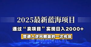 2025年蓝海项目，如何通过“网创项目”日入2000+-氚客吧