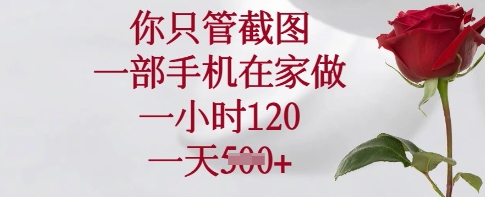 你只管截图，一部手机在家做，一小时120.一天5张【揭秘】-氚客吧