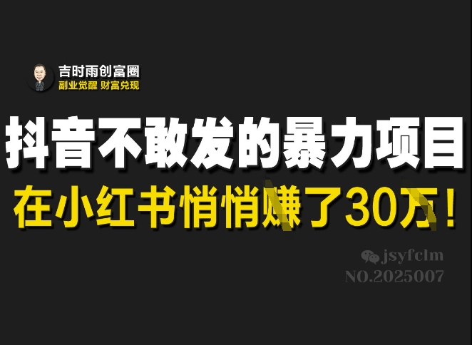 抖音不敢发的暴利项目，在小红书悄悄挣了30W-氚客吧
