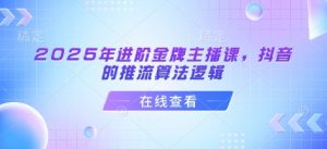 2025年进阶金牌主播课，抖音的推流算法逻辑-氚客吧
