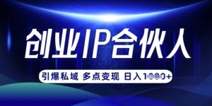 云帆·创业ip合伙人打造3.0，从0到1教你做网创，实现月入过W-氚客吧