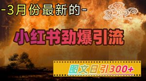 小红书超劲爆引流手段，图文日引300+轻松变现1W-氚客吧