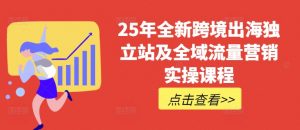 25年全新跨境出海独立站及全域流量营销实操课程，跨境电商独立站TIKTOK全域营销普货特货玩法大全-氚客吧