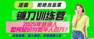镰刀训练营超级IP合伙人，25年普通人如何通过“知识付费”实现逆袭-氚客吧