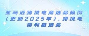 亚马逊跨境电商选品案例(更新2025年3月)，跨境电商利基选品-氚客吧