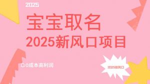 2025新风口项目宝宝取名，0成本高利润，附保姆级教程，月入过万不是梦-氚客吧