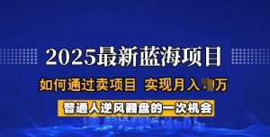 2025蓝海项目，普通人如何通过卖项目，实现月入过W，全过程【揭秘】-氚客吧