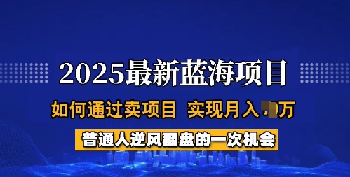 2025蓝海项目，普通人如何通过卖项目，实现月入过W，全过程【揭秘】-氚客吧