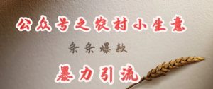 deepseek写农村小项目，条条爆款，暴力引流-氚客吧