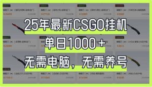 25年最新CSGO挂机系统，单日1000+，无需电脑，无需养号，0基础可上手-氚客吧