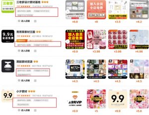 0成本虚拟项目实战手把手教你落地，单店月入5k-氚客吧