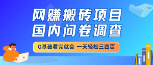 网赚搬砖项目，国内问卷调查，0基础看完就会 一天轻松三四百，靠谱副业...-氚客吧