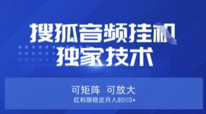 【搜狐音频挂G】独家技术，可矩阵可放大，红利期稳定月入8k【揭秘】-氚客吧